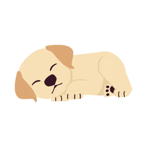 colorado dog