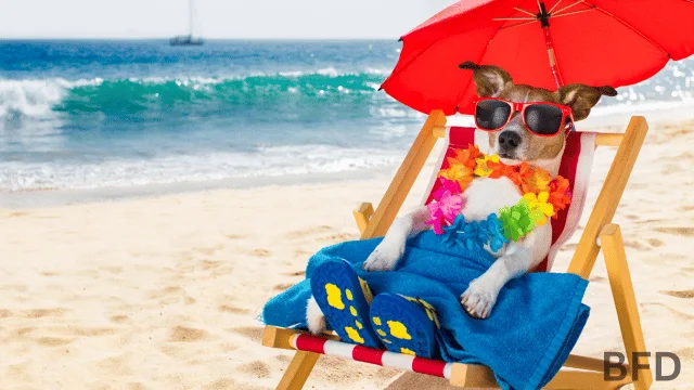 louisiana dog beach rules
