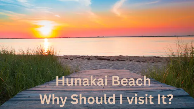 Discovering Hunakai Beach: A Coastal Oasis for Families and Furry Friends