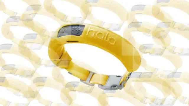 The Halo Dog Collar: Revolutionary or Just a Trend?
