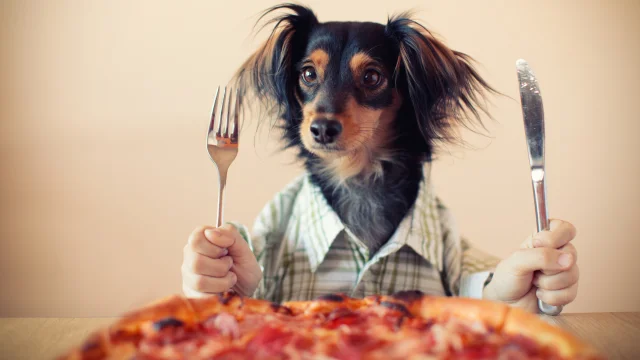 Best Dog Friendly Restaurants in Wilmington, NC