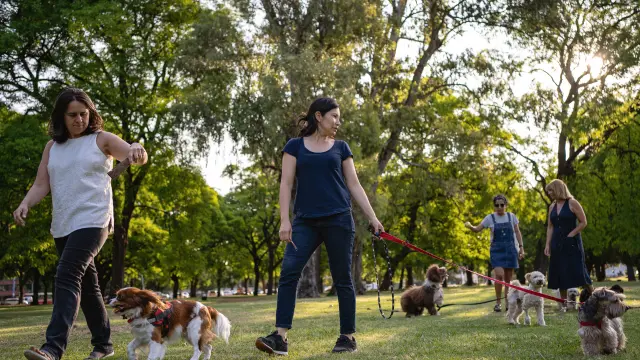 Off leash DOG parks in NYC