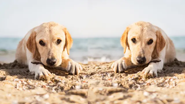 friendly beaches in new york