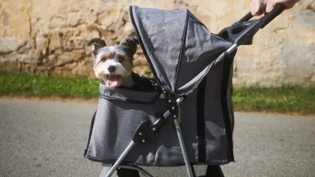 Morocco Premium vs. Gen7 Morocco stroller 